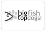 bigfishtopdogs