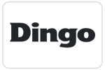 dingo