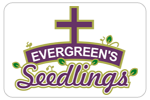 evergreenseedlings