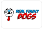 realfunnydogs